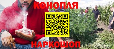 ПСИЛОЦИБИНОВЫЕ ГРИБЫ Балахна